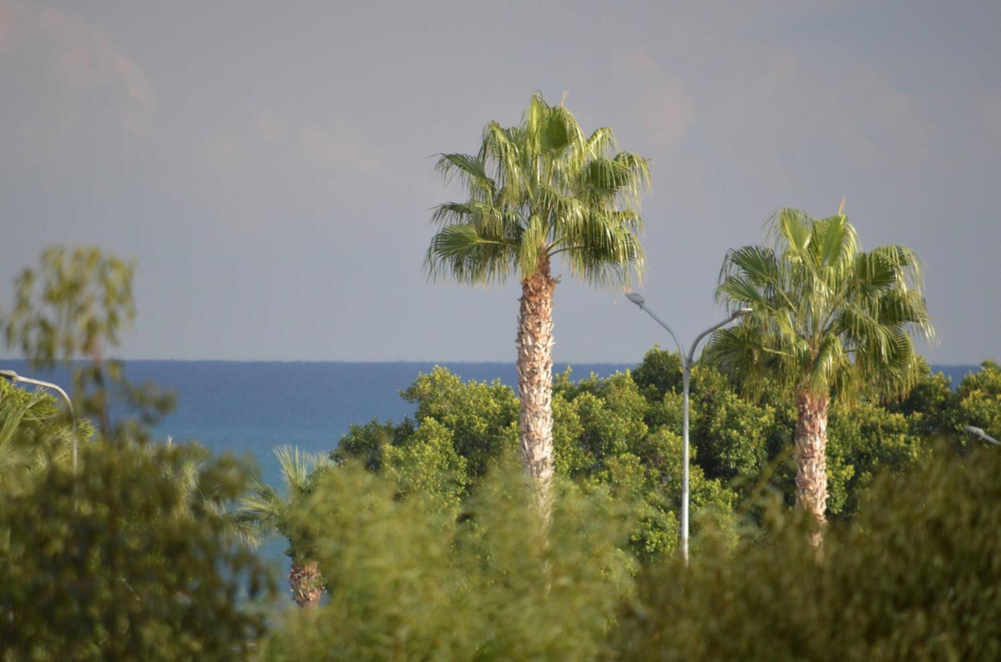 Modern Apartment Near Mckenzie Beach Lárnaka Kültér fotó
